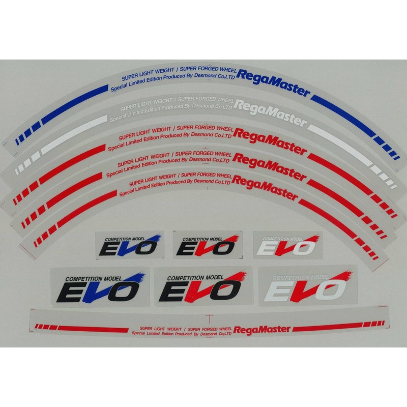 DESMOND 17 18 INCH SPOKE STICKER "EVO" DESMOND-00070